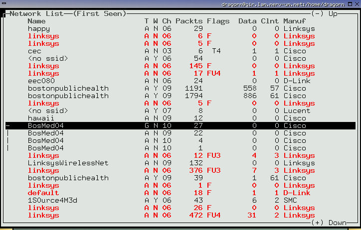 Kismet无线探测工具界面图