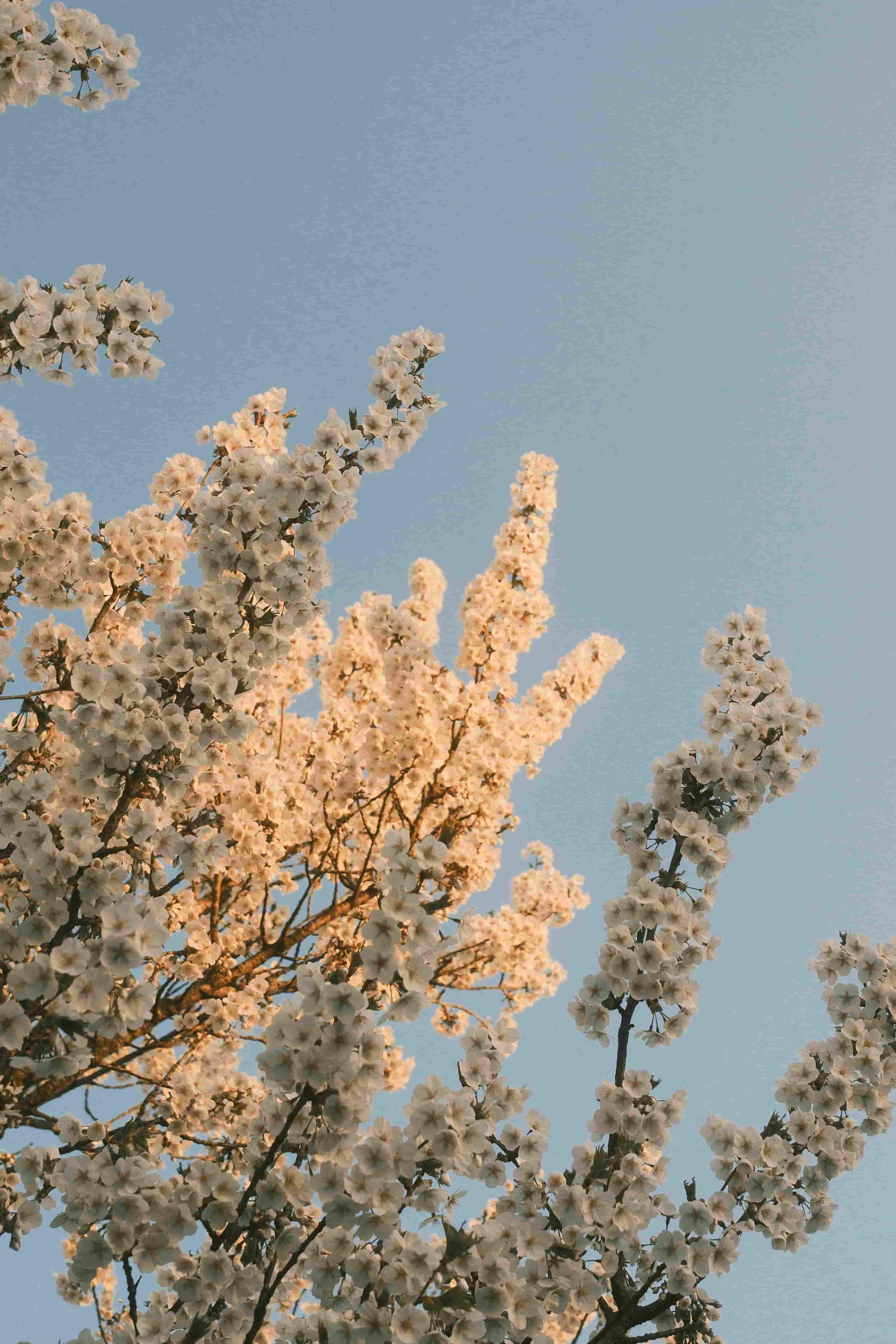 What is data exfiltration and how to prevent it using analytics?