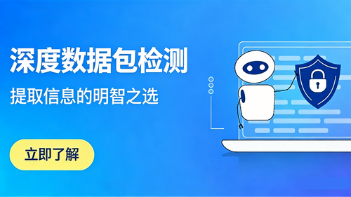 通过深度包检测实现实时全面包过滤,防范隐藏威胁与攻击