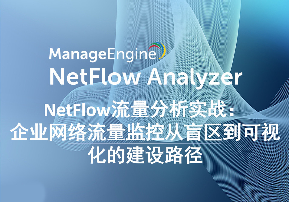 NetFlow流量分析实战:企业网络流量监控从盲区到可视化的建设路径