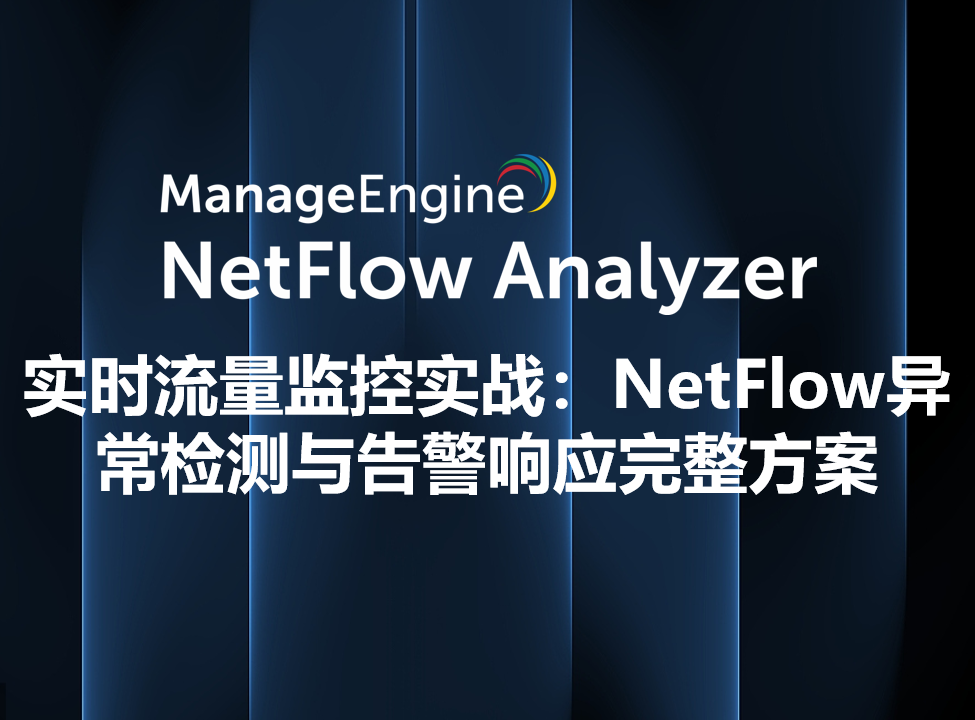 实时流量监控实战：NetFlow异常检测与告警响应完整方案